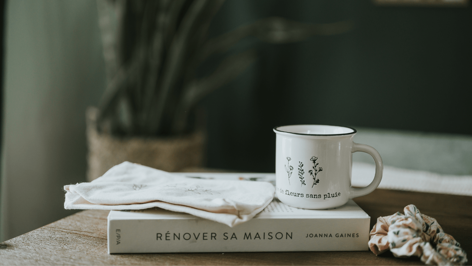 Suggestions de lecture pour novembre - Maison Paréa
