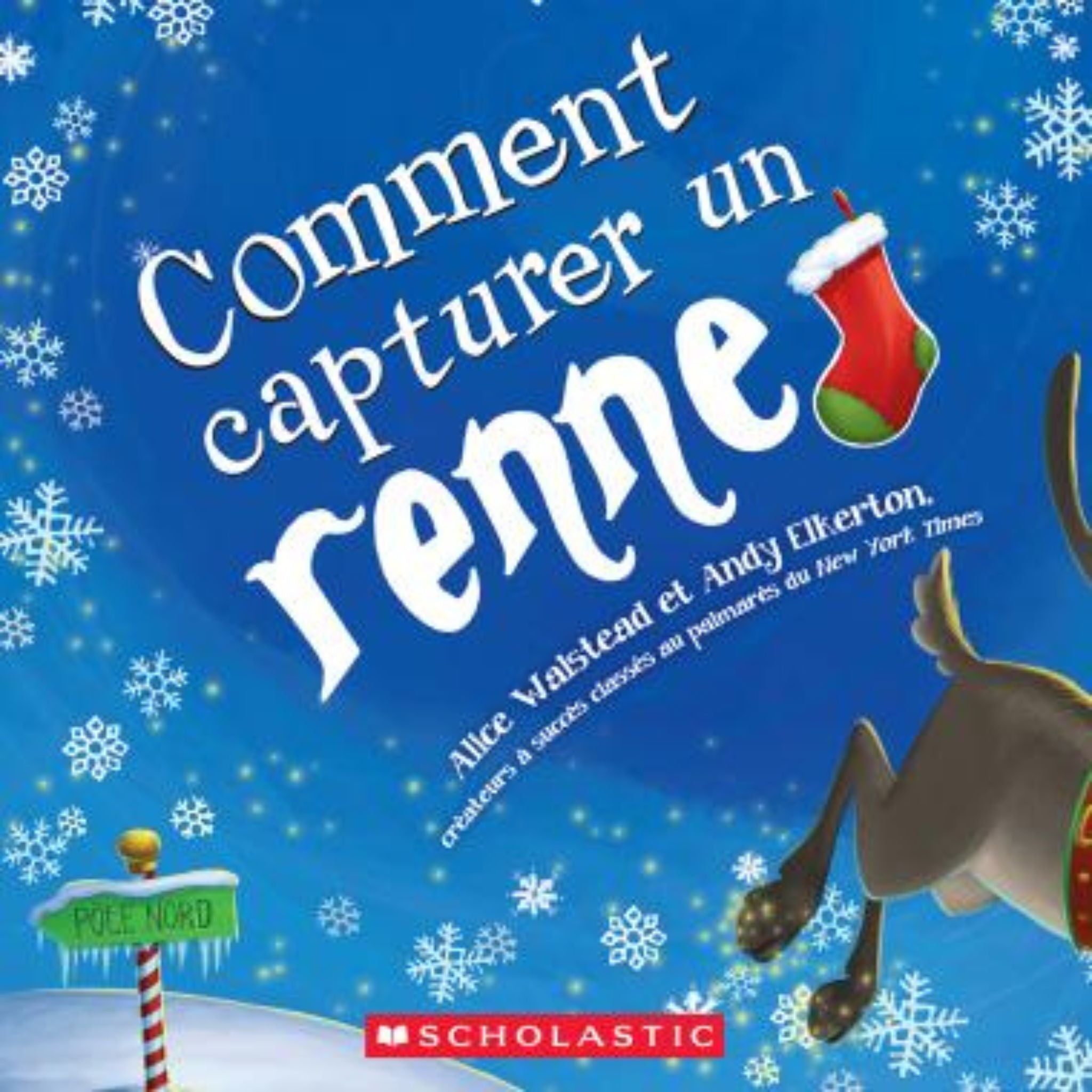 Comment capturer un renne - Maison Paréa