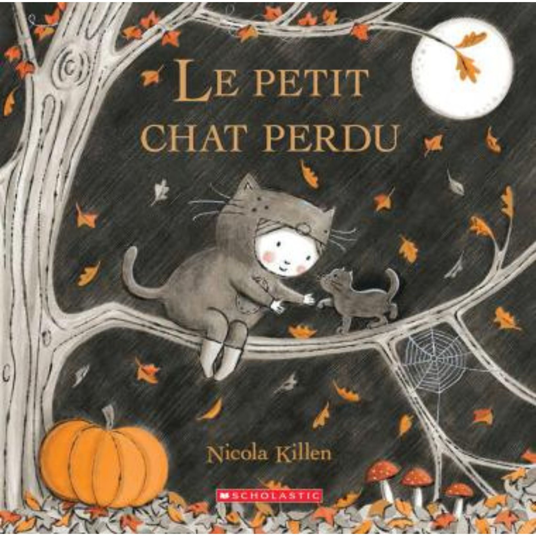 Le petit chat perdu - Maison Paréa